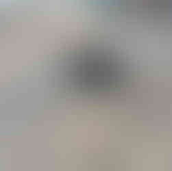 Hund geht an lockerer Leine spazieren und schnüffelt