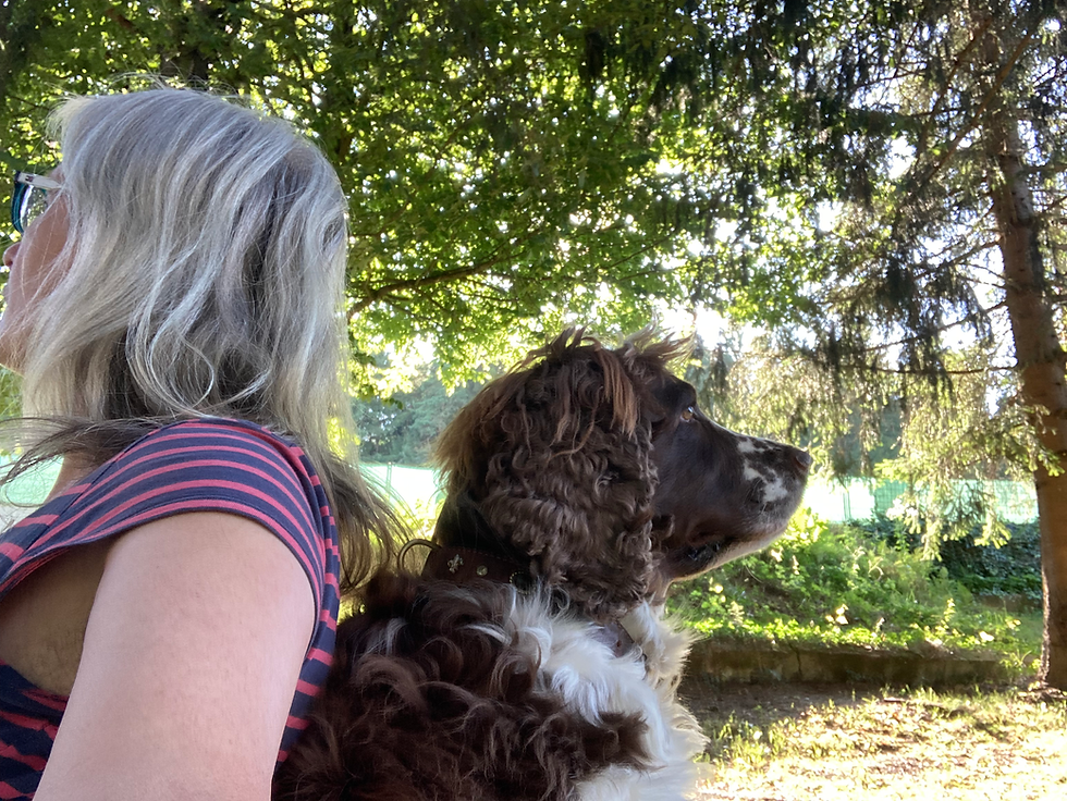 Frau und Hund sitzen Rücken an Rücken im Garten
