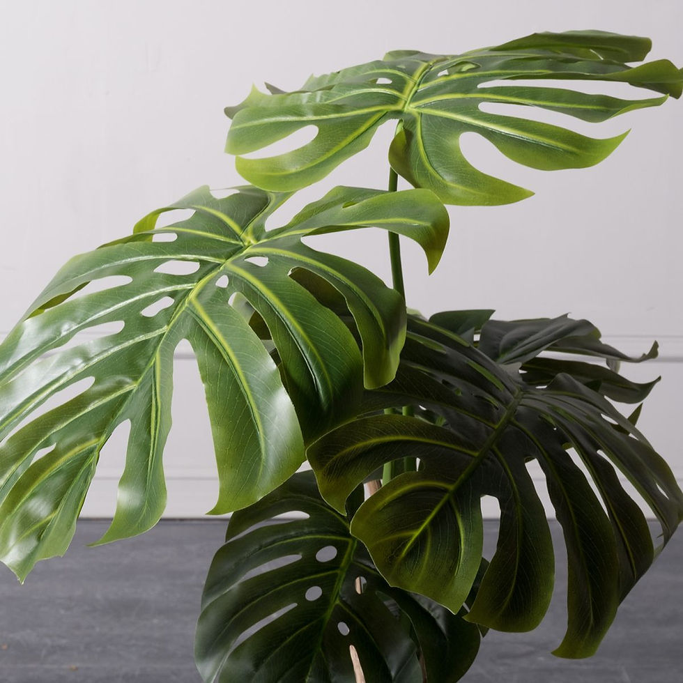 Thumbnail: ARTIFICIAL MONSTERA DELICIOSA PLANT 90 CM