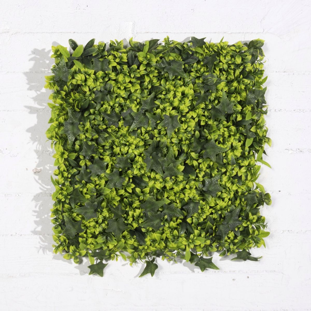 ARTIFICIAL WALL PANEL BOXWOOD WITH IVY 50X50 CM