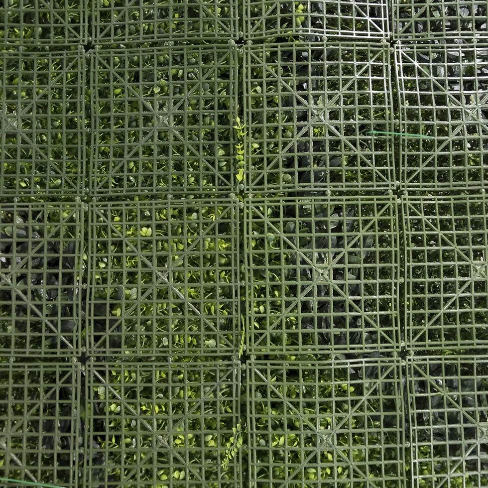 Thumbnail: ARTIFICIAL WALL PANEL FERN WITH BABY TOOTH MOSS 100X100 CM