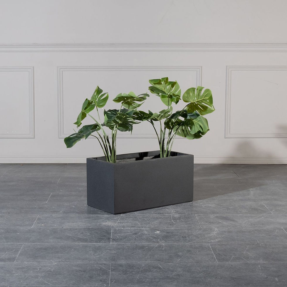 Thumbnail: FIBERCLAY PLANTER RECTANGULAR SOLID BLACK M 60X30X30CM