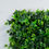 Thumbnail: ARTIFICIAL PANEL IVY WITH BOXWOOD 50X50 CM