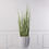 Thumbnail: ARTIFICIAL STIPA "ZEBRA" PLANT GREEN 90 CM