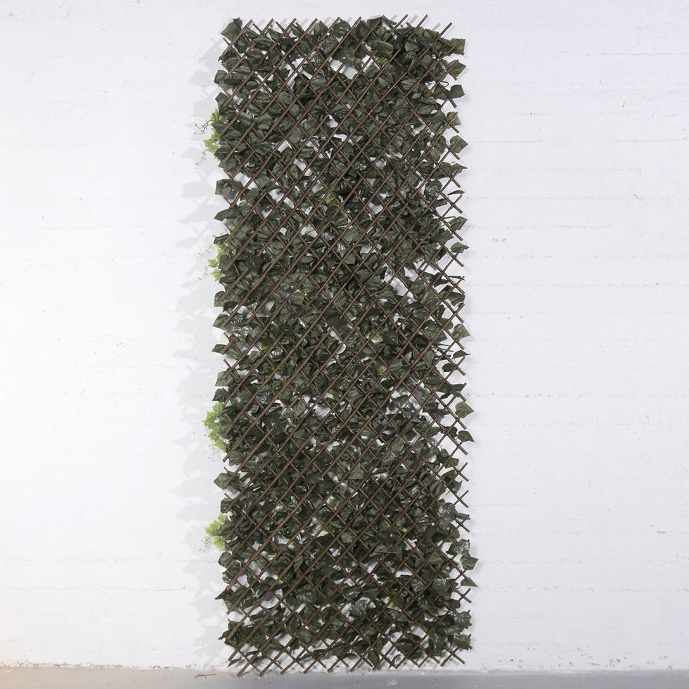 Thumbnail: ARTIFICIAL EXTENSIBLE WALL PANEL IVY WITH FICUS "AURAE" GREEN 100X200 CM