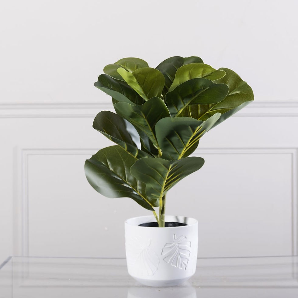 Thumbnail: ARTIFICIAL FICUS LYRATA GREEN 50 CM