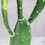 Thumbnail: ARTIFICIAL PRICKLY PEAR SKINNERS PLANT GREEN 64 CM.