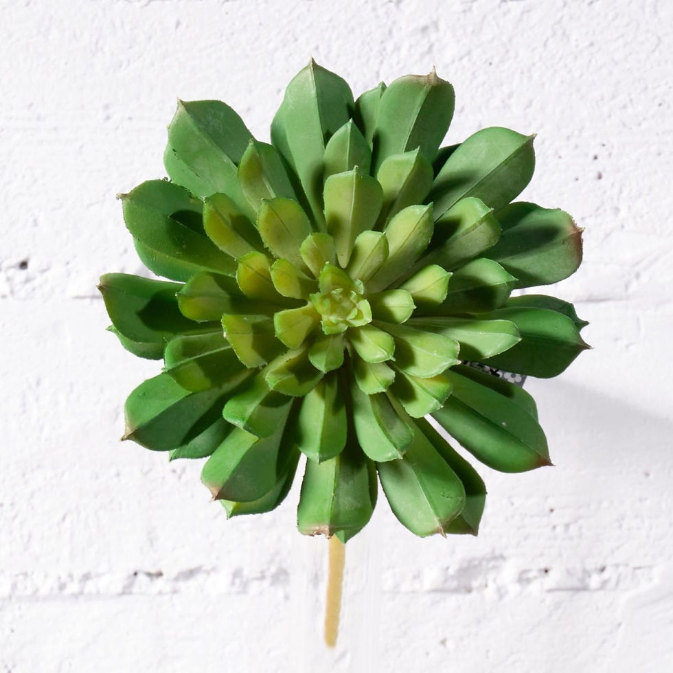 Thumbnail: ARTIFICIAL ROOT SUCCULENT 17 CM