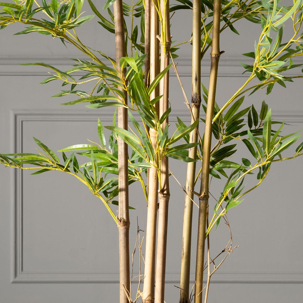 Thumbnail: ARTIFICIAL LUCKY BAMBOO TREE 250CM