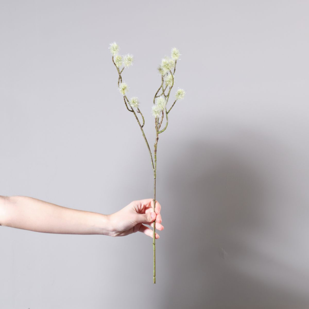 ARTIFICIAL BRANCH CORINULA WHITE 55 CM