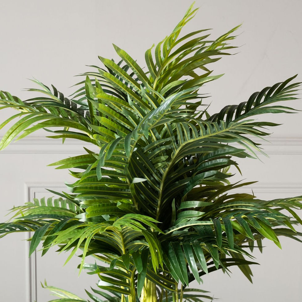 Thumbnail: ARTIFICIAL ARECA PALM TREE 160CM