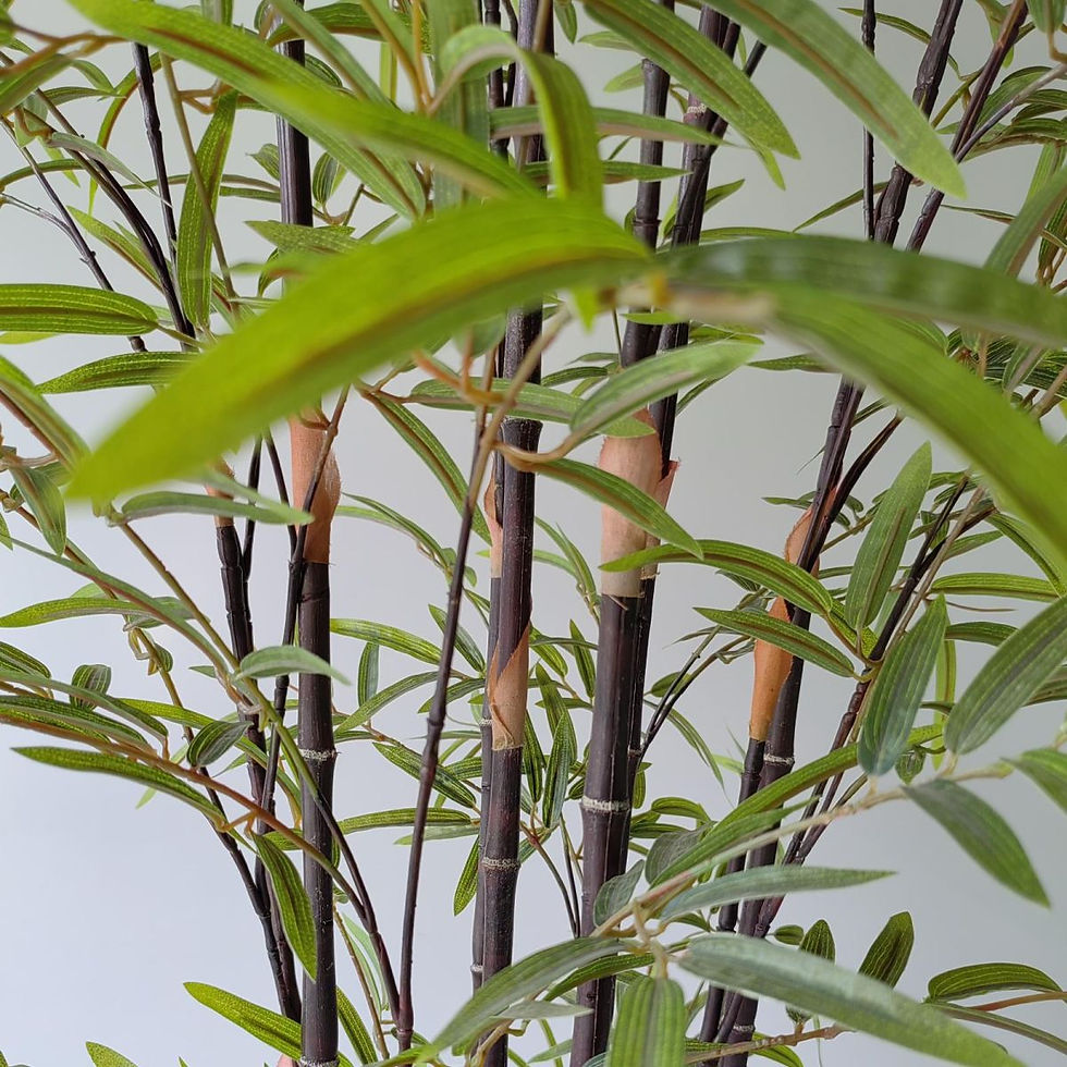 Thumbnail: Artificial Bamboo Tree "Nigra" Green 210 cm