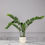 Thumbnail: ARTIFICIAL ZAMIA PLANT "VERDANT" GREEN 80 CM