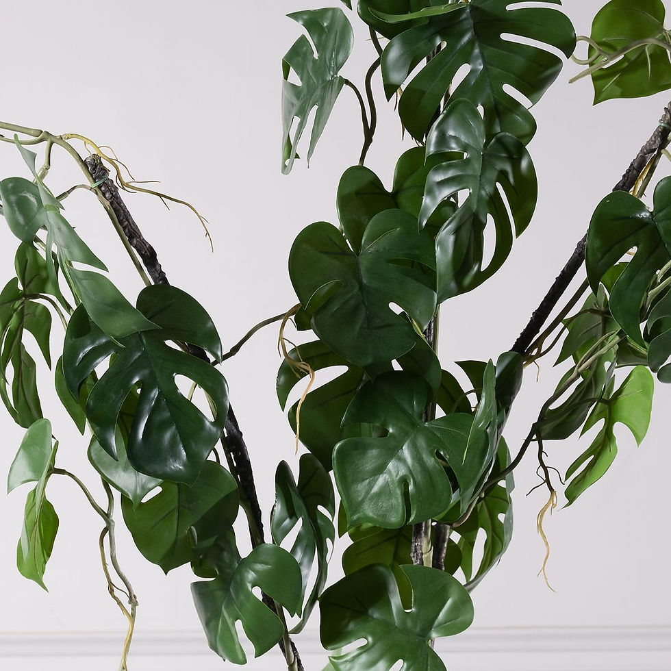 Thumbnail: ARTIFICIAL MONSTERA "MINIMA" VINING PLANT GREEN 75 CM
