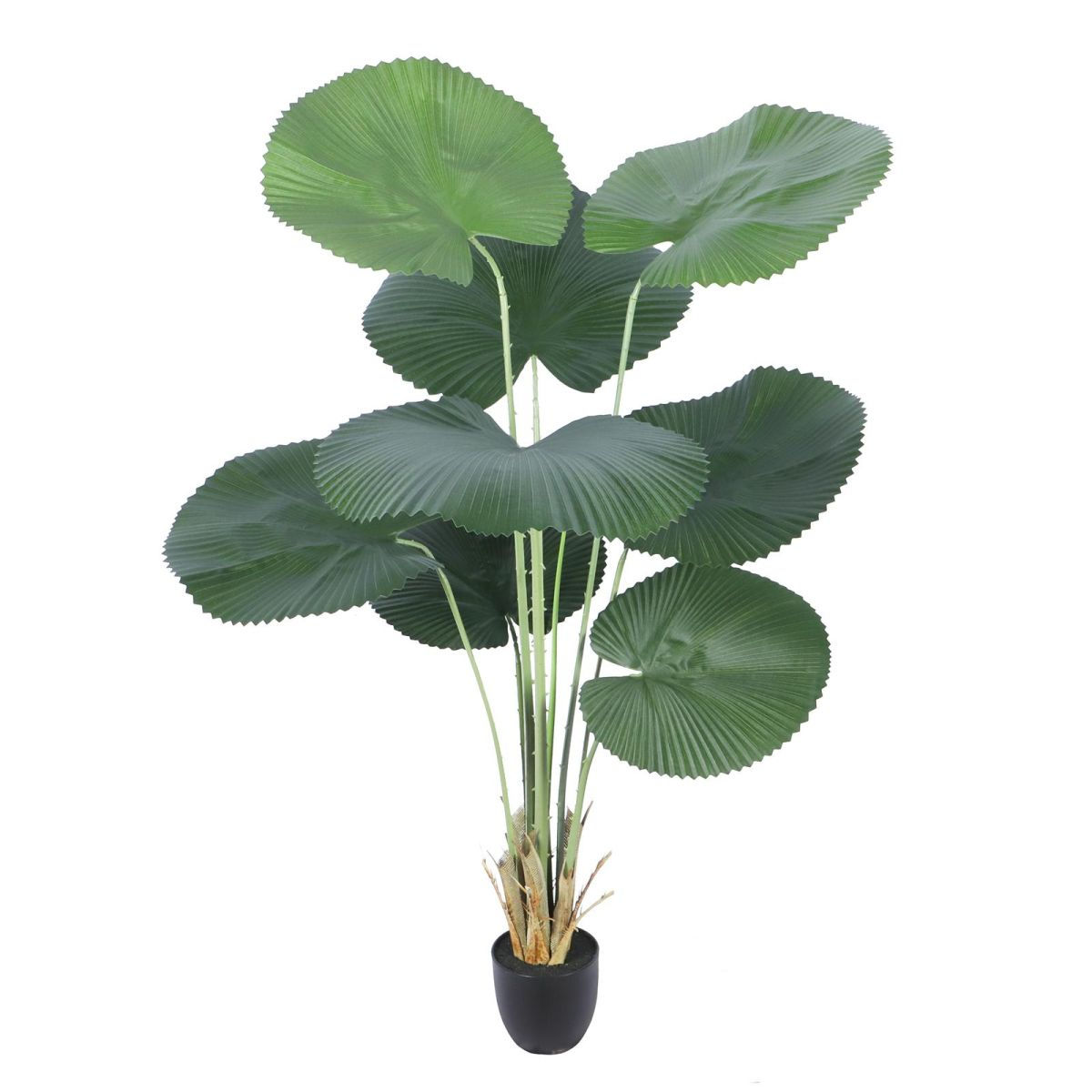 Artificial Licuala Tree Green 150 cm