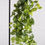 Thumbnail: ARTIFICIAL HANGING FITTONIA GREEN 90 CM