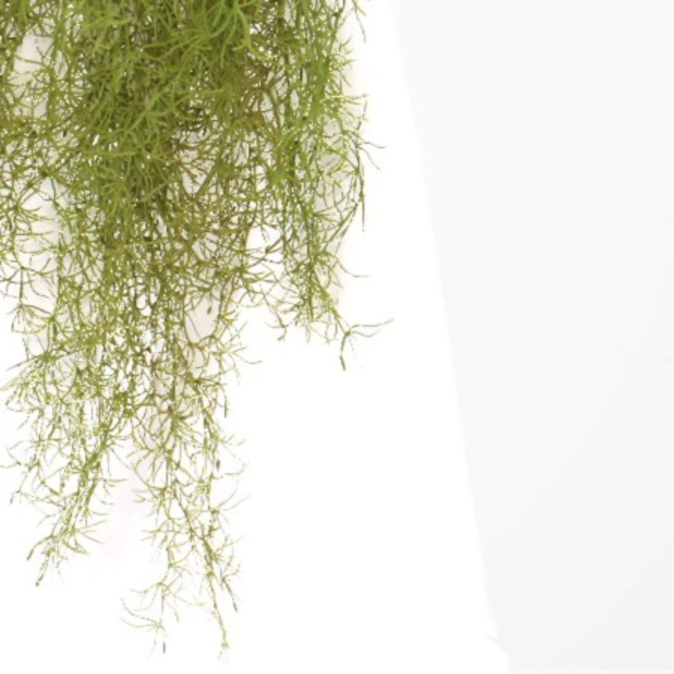 Thumbnail: Artificial Hanging Tillandsia Green 90 cm