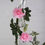 Thumbnail: ARTIFICIAL GARLAND ROSE GARDEN PINK 240 CM