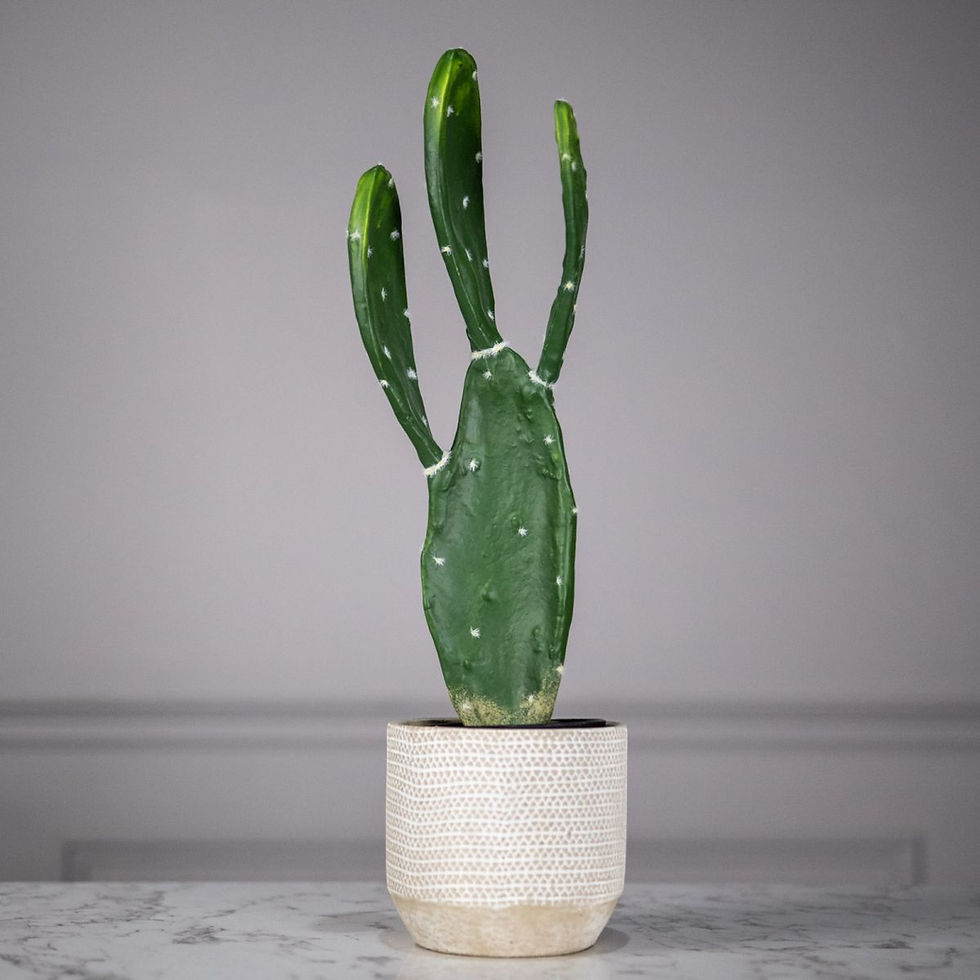 Thumbnail: ARTIFICIAL PRICKLY PEAR SKINNERS PLANT GREEN 64 CM.