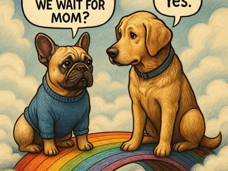 Losing a Pet: A Journey of Love and Grief