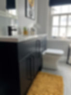 Cameron Bathroom Project: storage