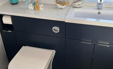 Modern toilet with dark wood wall unit