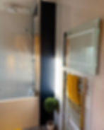 Leslie Bathroom Project: shower and wall mirror