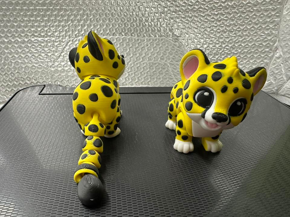 Thumbnail: Baby Cheetah