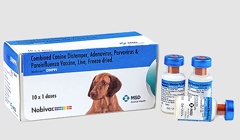 Msd Parvo Vaccine For Dogs Rabies Vaccine In Dog Vaccine Price