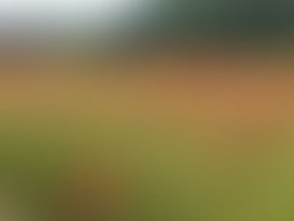 皆野町ポピー祭り