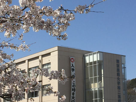 新年度スタート