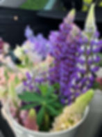 Rosie-Louise-Cut-Flowers-lupins