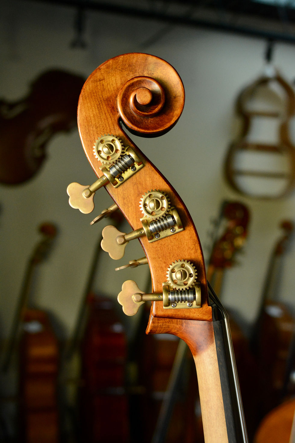 Thumbnail: Shen SB200 5-string