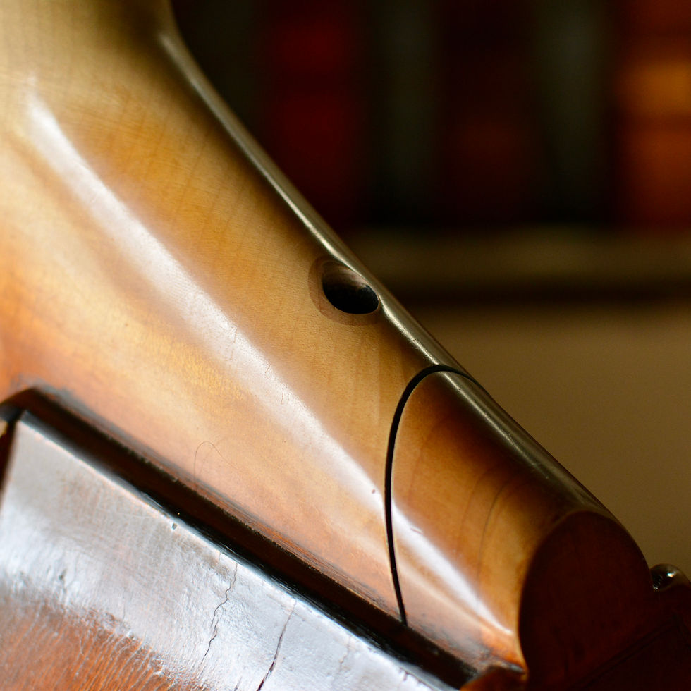 Thumbnail: Rumano Solano, 2008