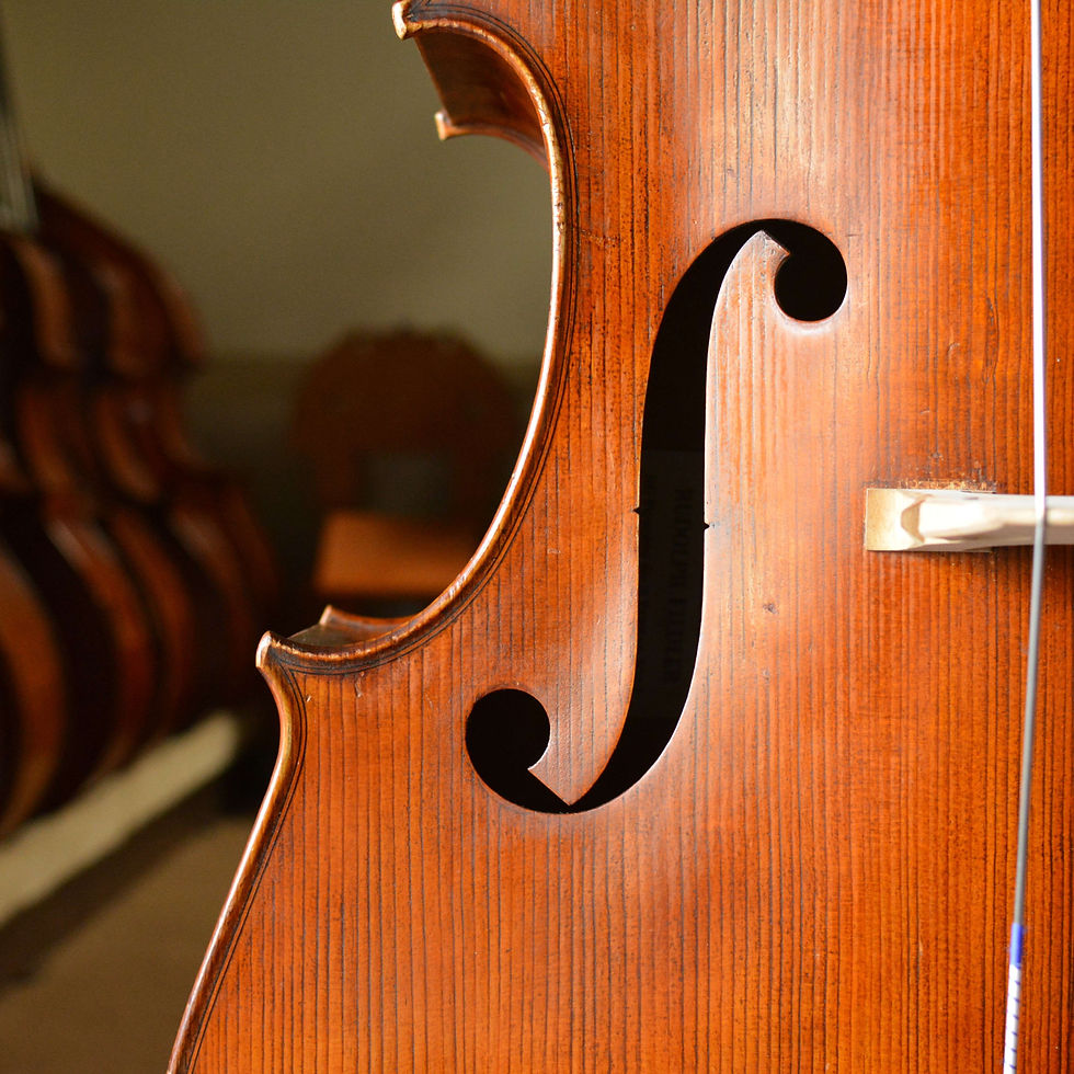 弦楽器 Z383 RUDOLPH FIEDLER GOF 1/2 ANNO.2012 Rudolph Fiedler, 2012 | Bassviolinshop