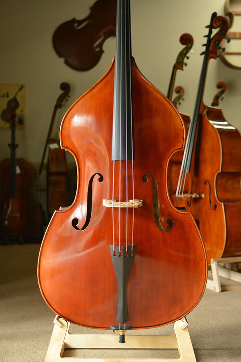 Sam Shen SB300 - Mirecourt | Bassviolinshop