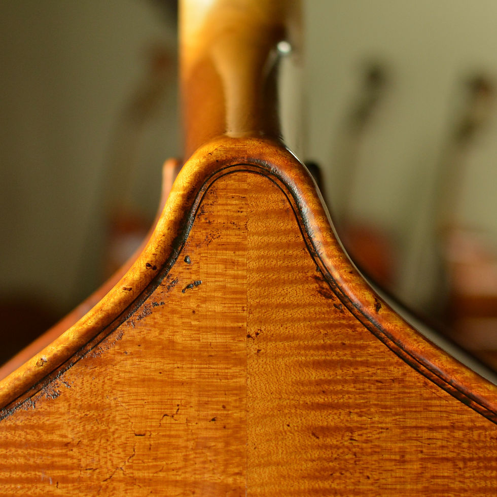 Thumbnail: Nick Lloyd, 2023