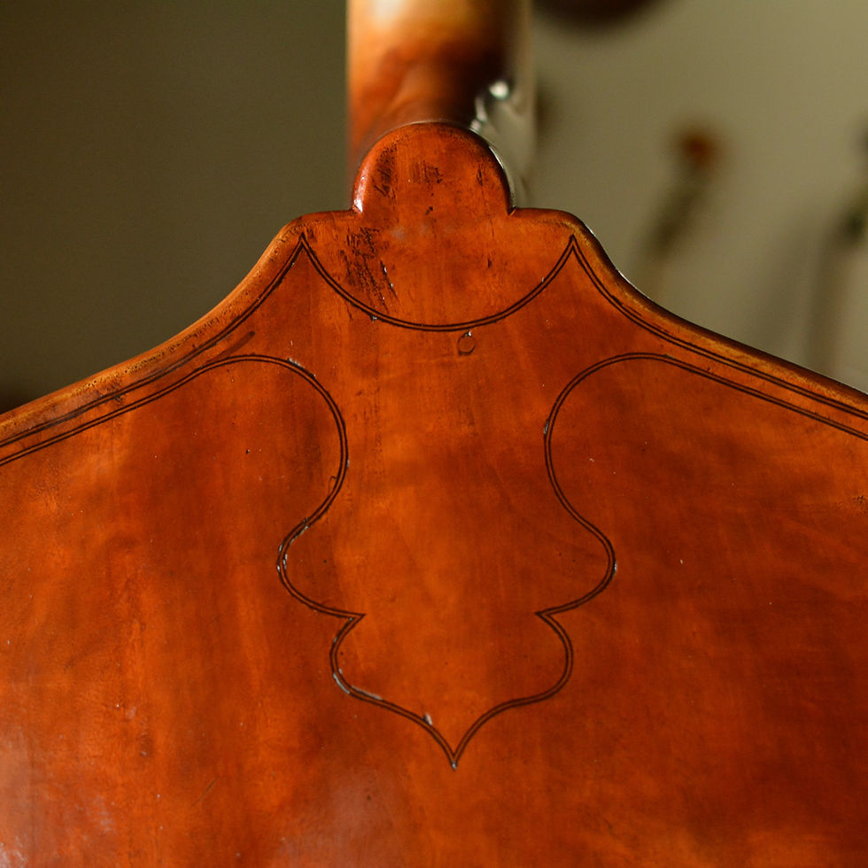 Thumbnail: Nolli & Lenzini, 2025