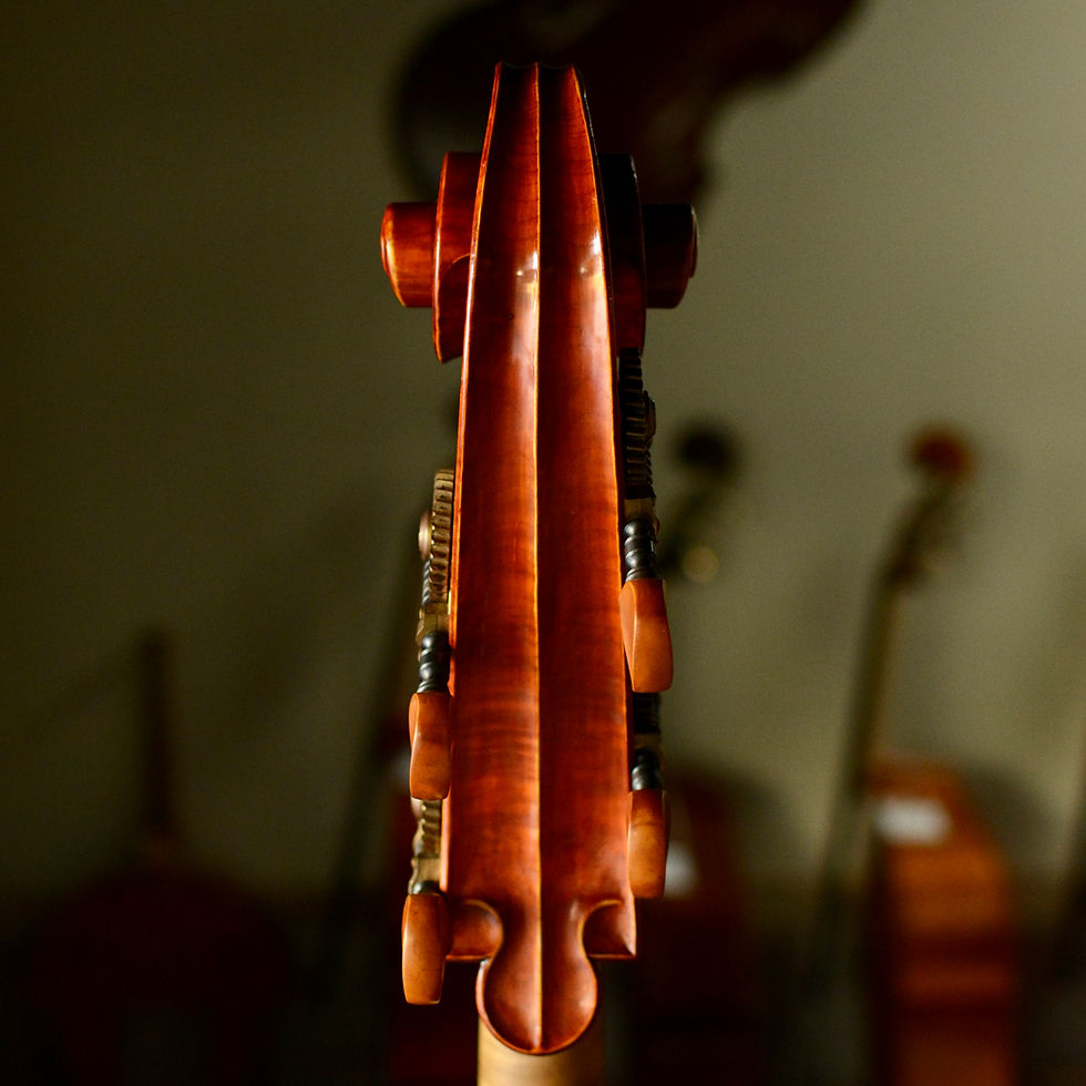 Thumbnail: Christian Laborie, 2008