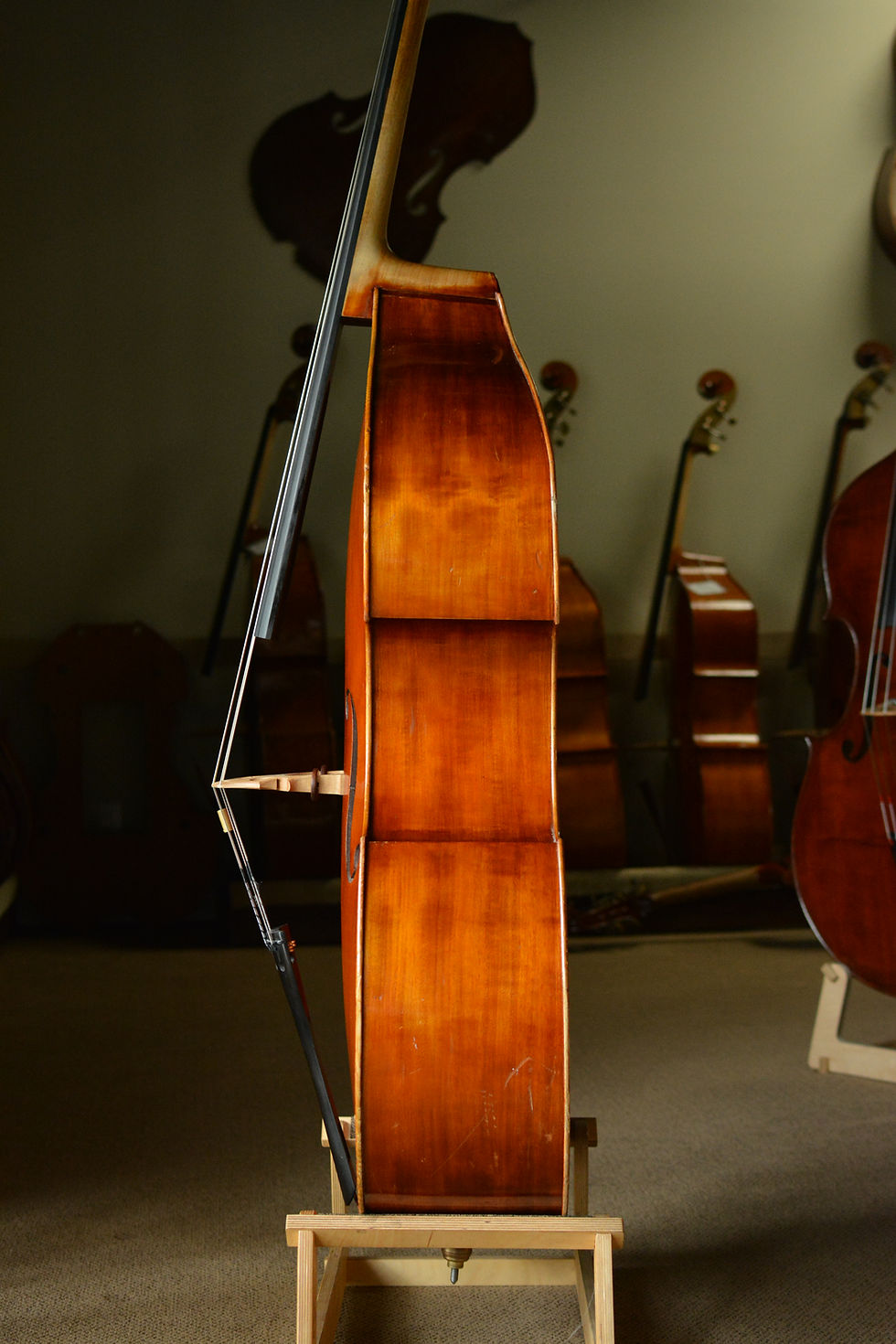 Thumbnail: Calin Wultur, 2020