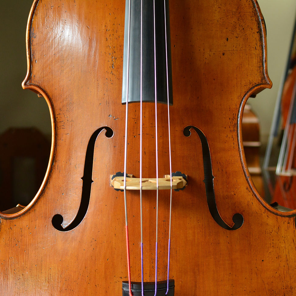 Thumbnail: Nick Lloyd, 2023