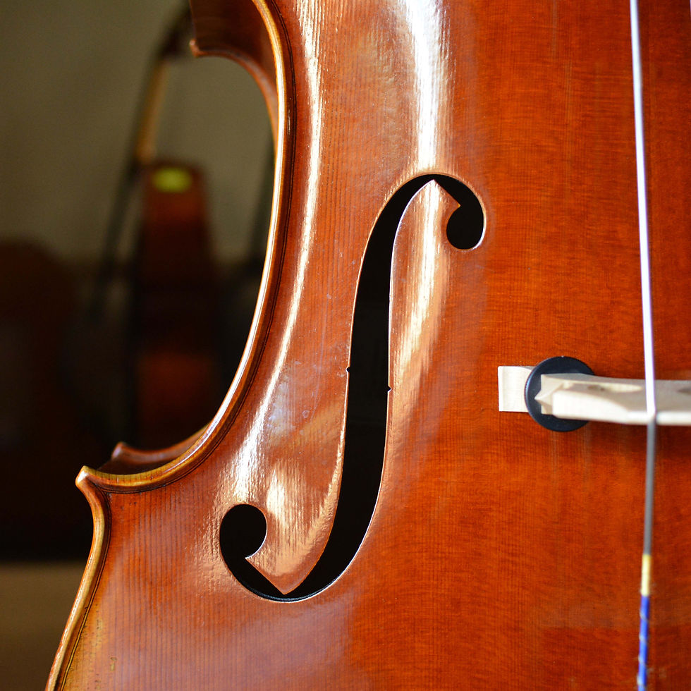 Thumbnail: Cedar Strings, 2024