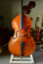 Kolstein "Liandro di Vacenza"