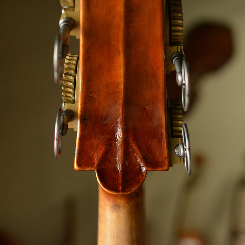 Thumbnail: Nolli & Lenzini, 2025