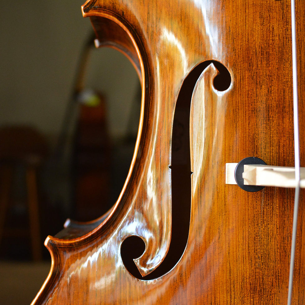 Thumbnail: Ioan Bucur, Marcucci