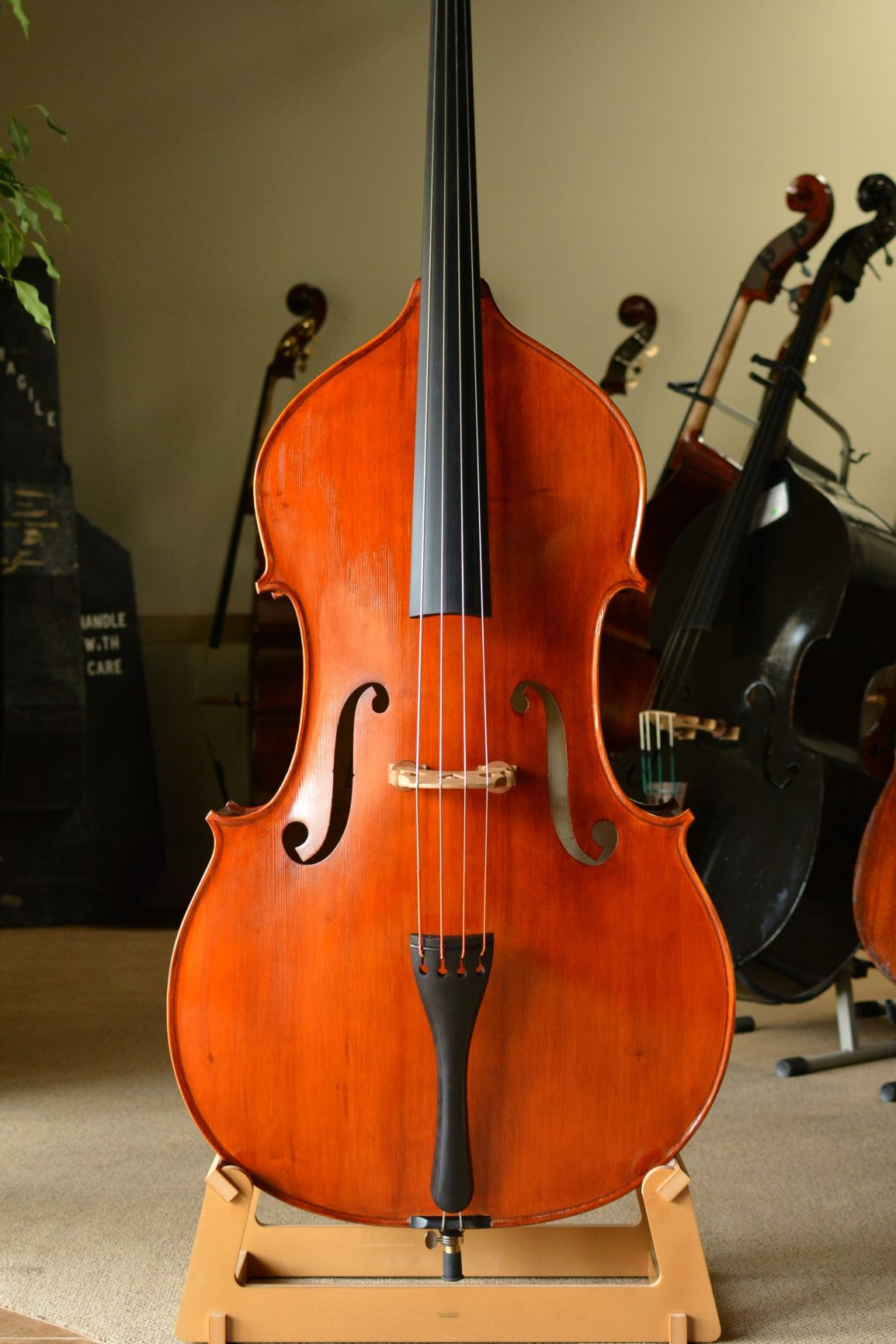 Calin Wultur 'Hybrid Spirit', 2021