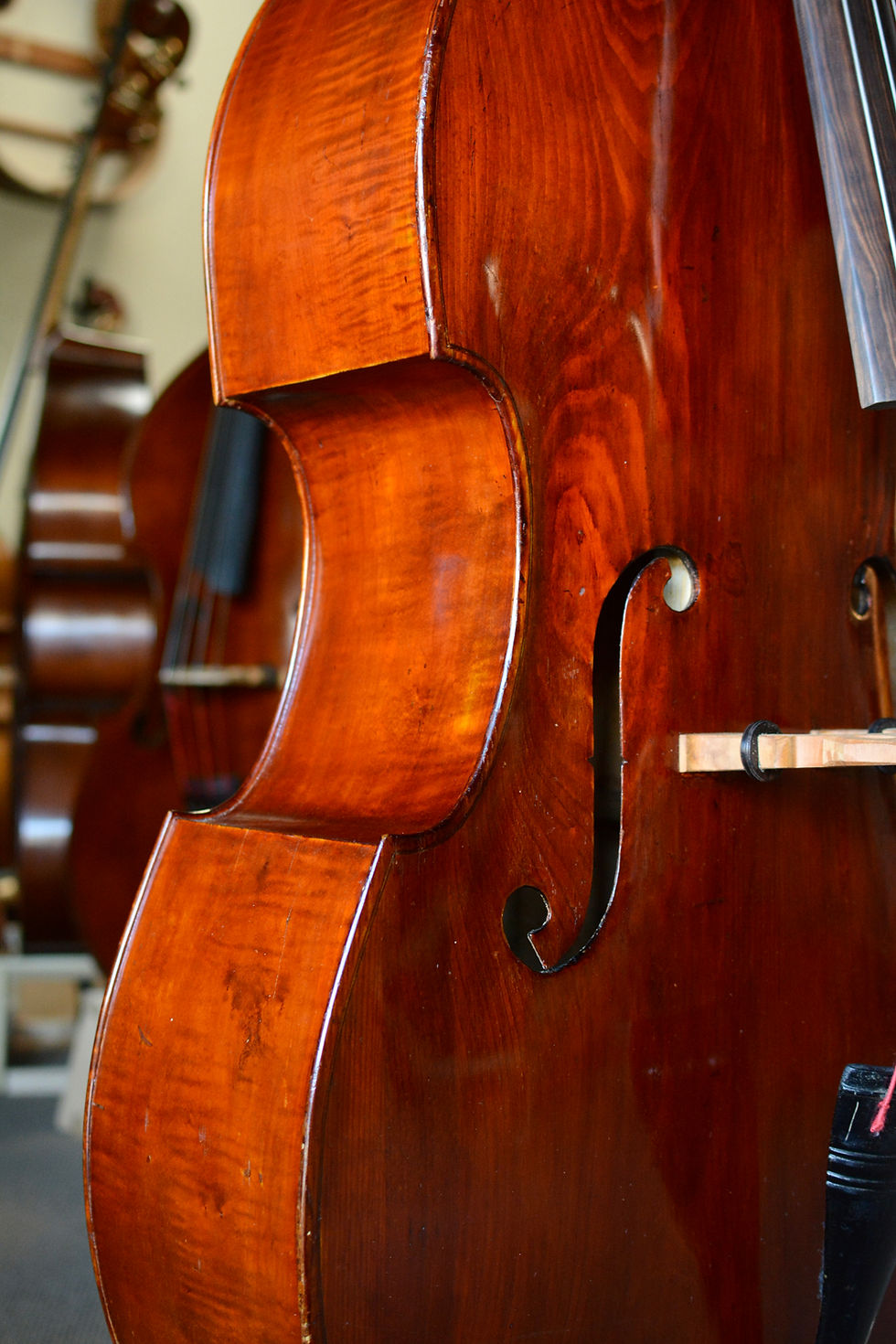 Thumbnail: Marino Tarantino, 1978