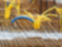 site-491773_640.jpg
