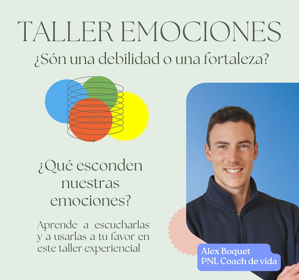 Taller - Emociones | Caldetes (Barcelona)