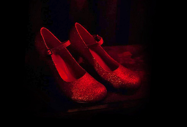 Ruby Slippers. Toto we're not in Kansas anymore.